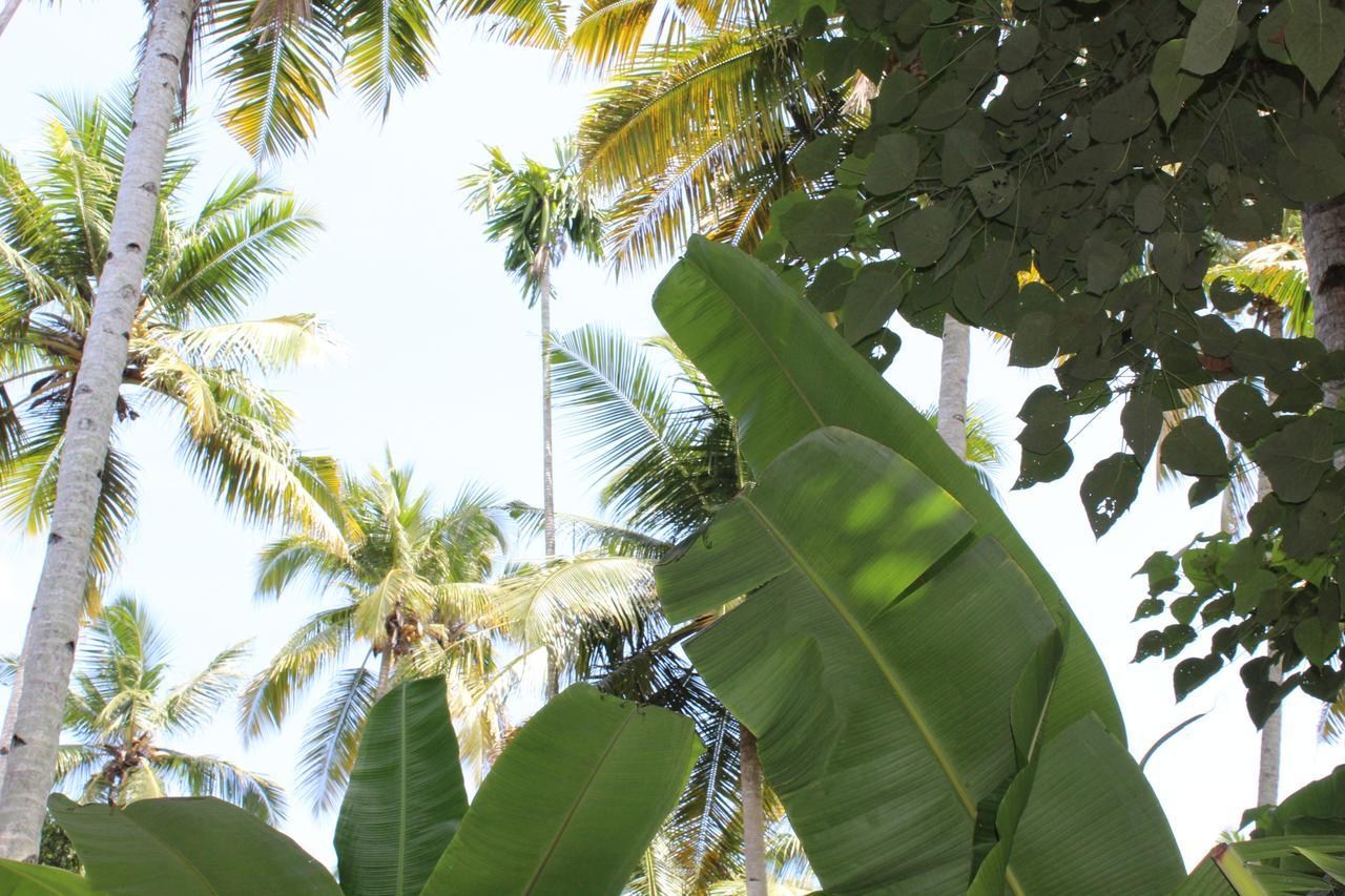 The Exotic Marigold Hotel Varkala Kültér fotó